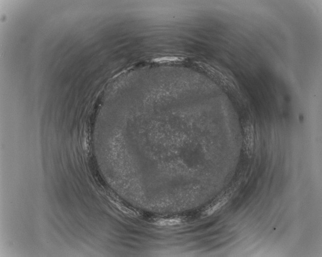 X0000078860653200611271413