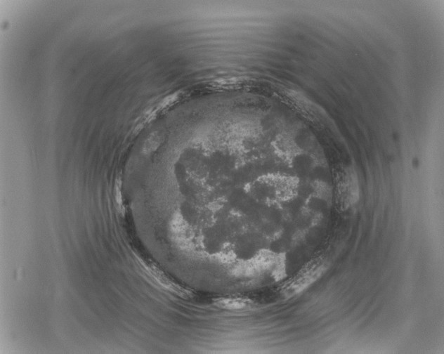 X0000078860654200611271413