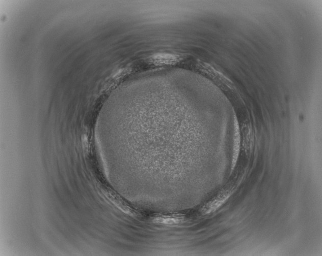 X0000078860655200611271413