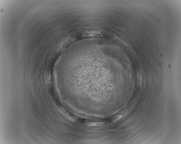 X0000078860657200611271413