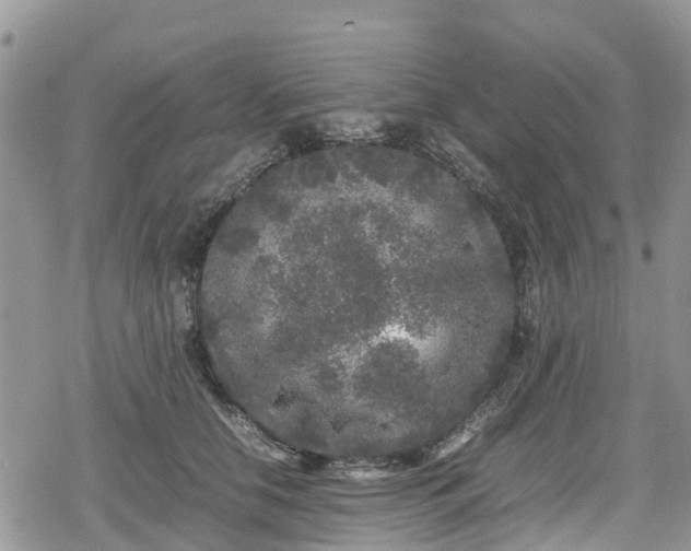 X0000078860658200611271413