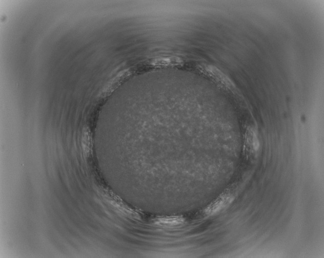 X0000078860659200611271413