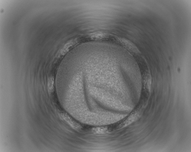 X0000078860660200611271413