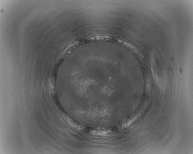 X0000078860661200611271413