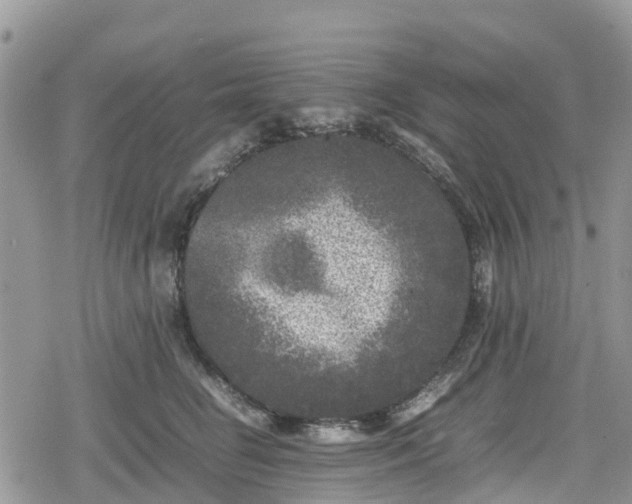 X0000078860662200611271413