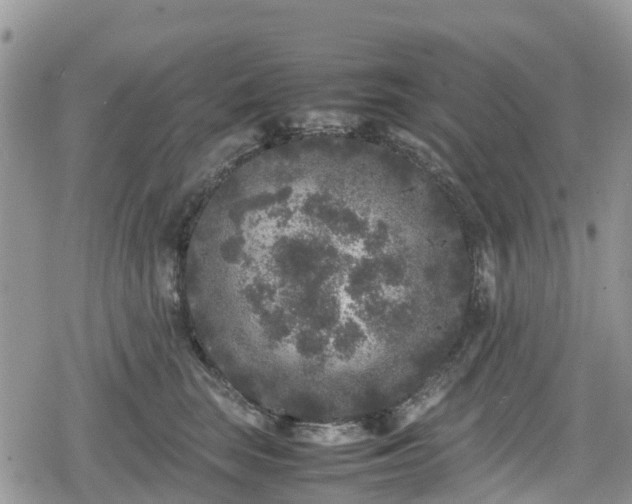 X0000078860663200611271413