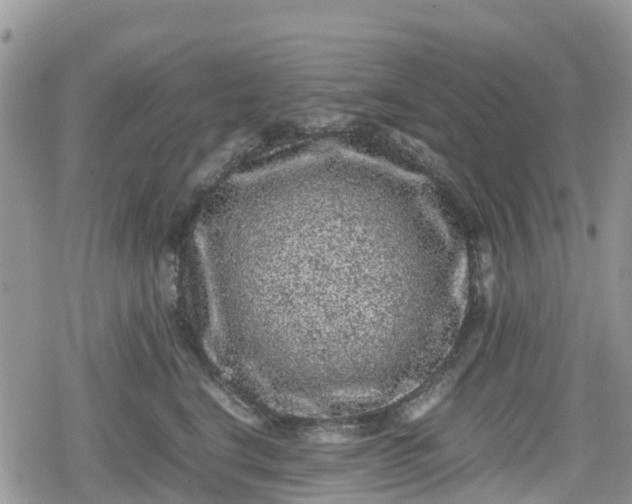 X0000078860664200611271413