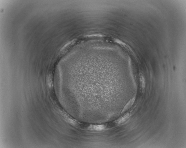 X0000078860665200611271413