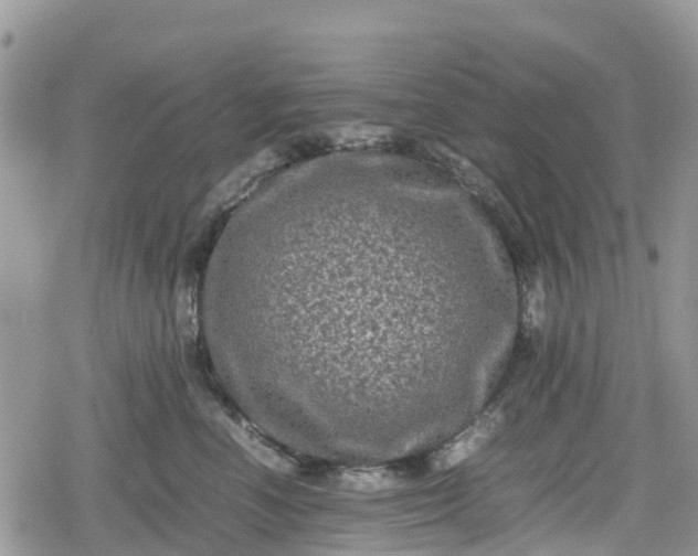 X0000078860666200611271413