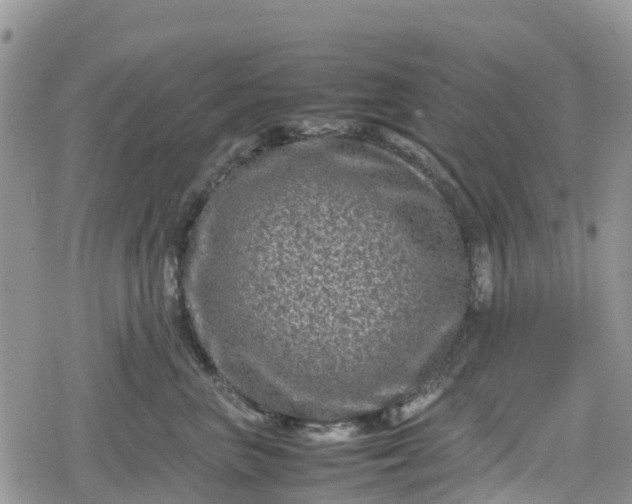 X0000078860667200611271413