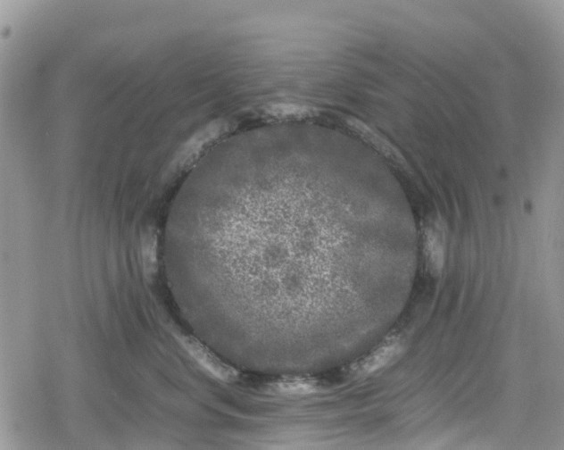 X0000078860668200611271413