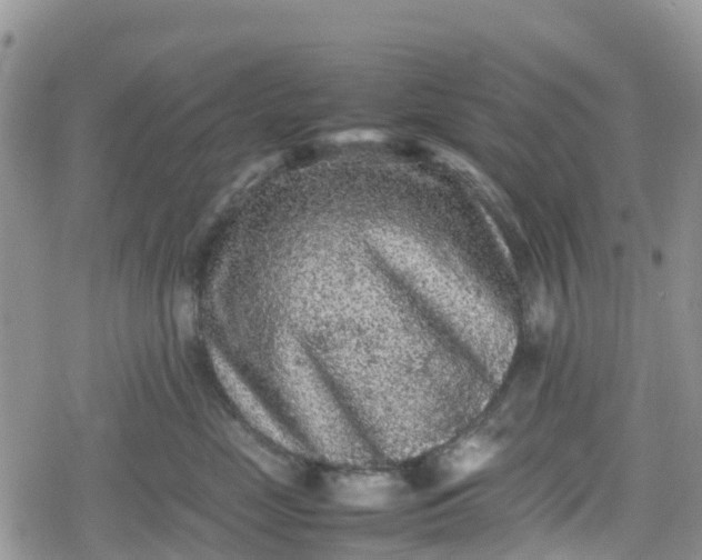 X0000078860669200611271413