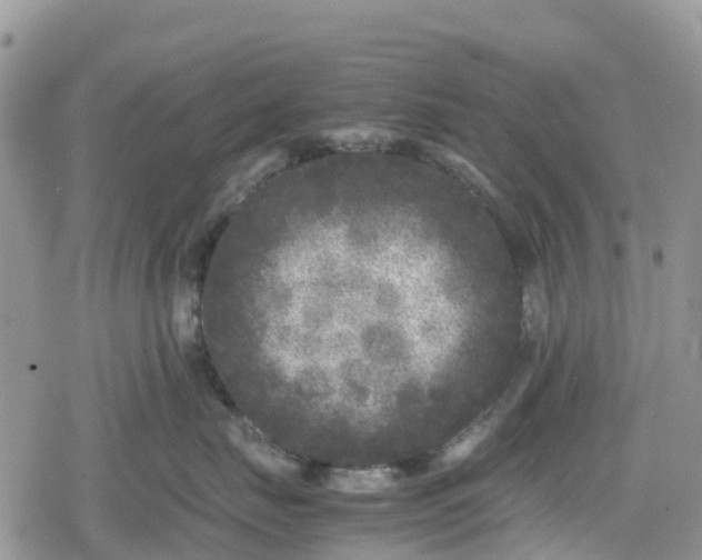 X0000078860671200611271413