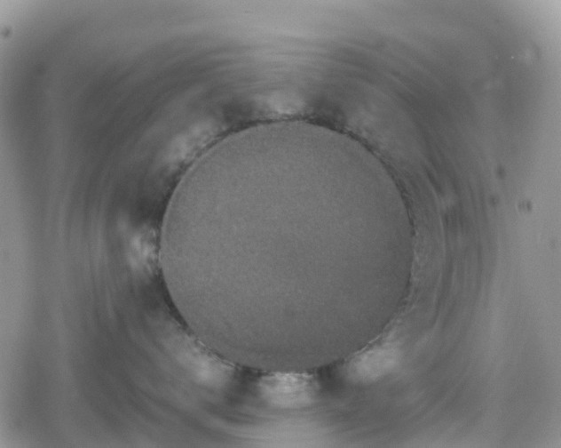 X0000078860672200611271413