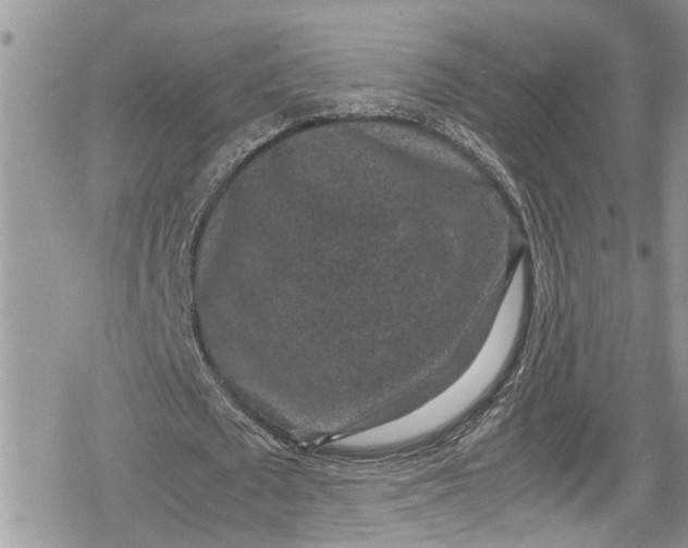 X0000078860673200611271412