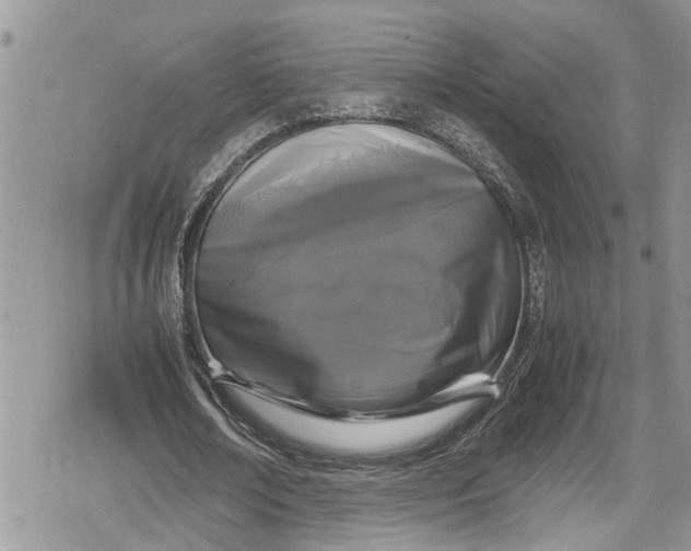 X0000078860674200611271412