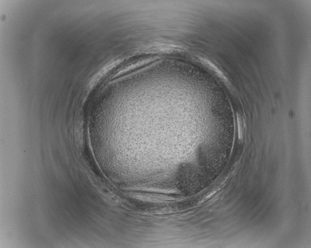 X0000078860675200611271412