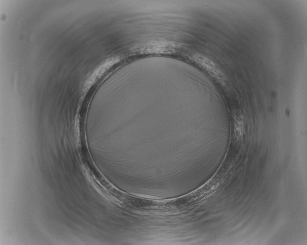 X0000078860678200611271412