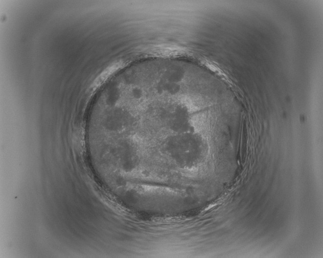 X0000078860679200611271412