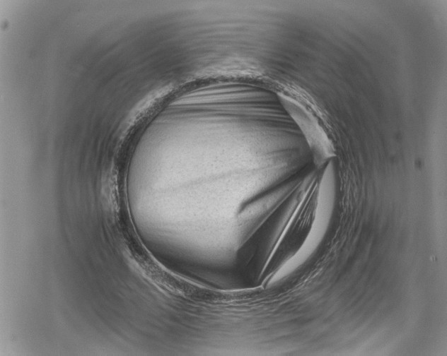 X0000078860680200611271412