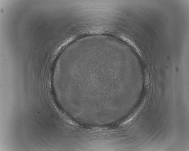 X0000078860681200611271412