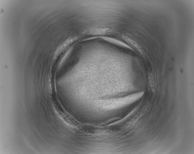 X0000078860682200611271412