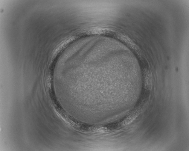 X0000078860683200611271412