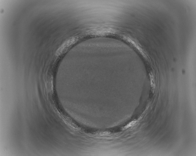 X0000078860685200611271412