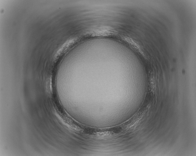 X0000078860686200611271412