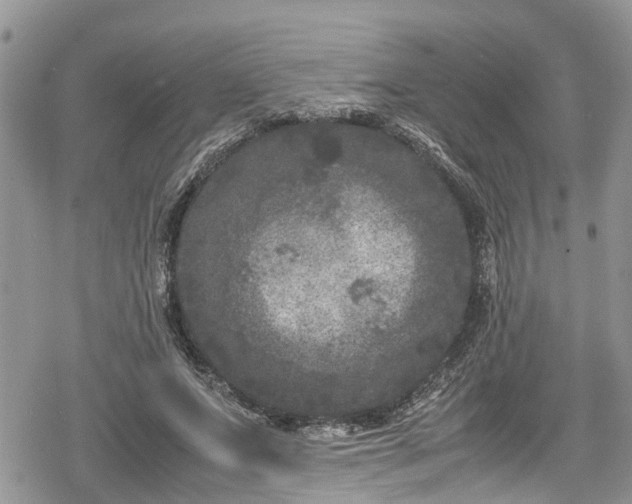 X0000078860687200611271412