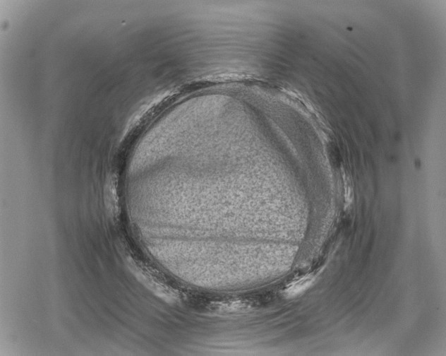 X0000078860688200611271412