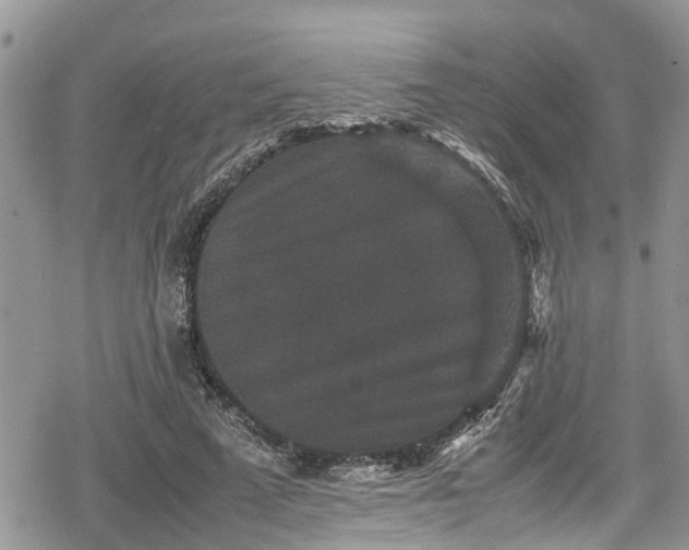 X0000078860689200611271412