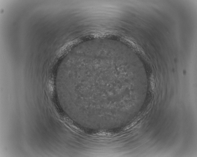 X0000078860691200611271412