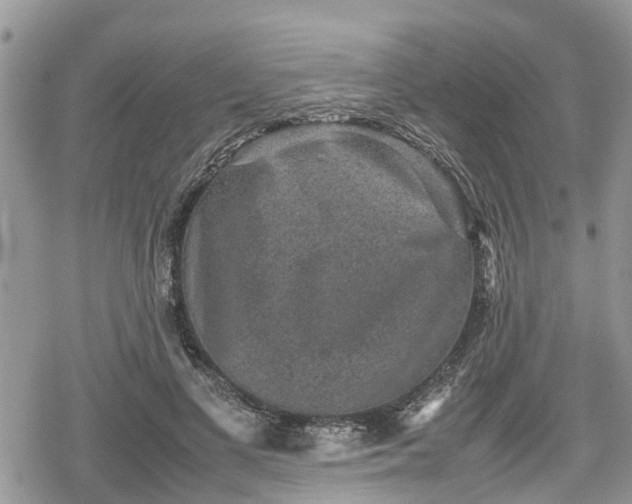 X0000078860693200611271412