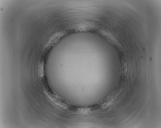 X0000078860694200611271412