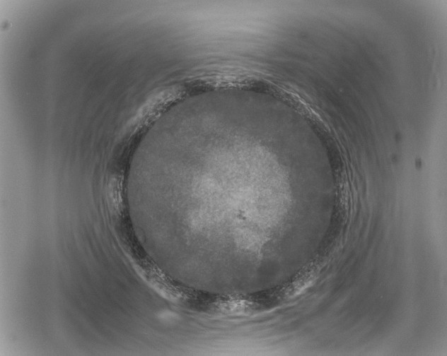 X0000078860695200611271412