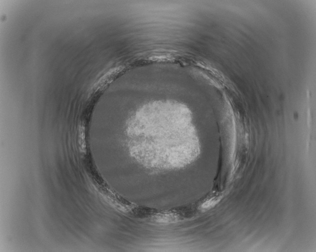 X0000078860696200611271412