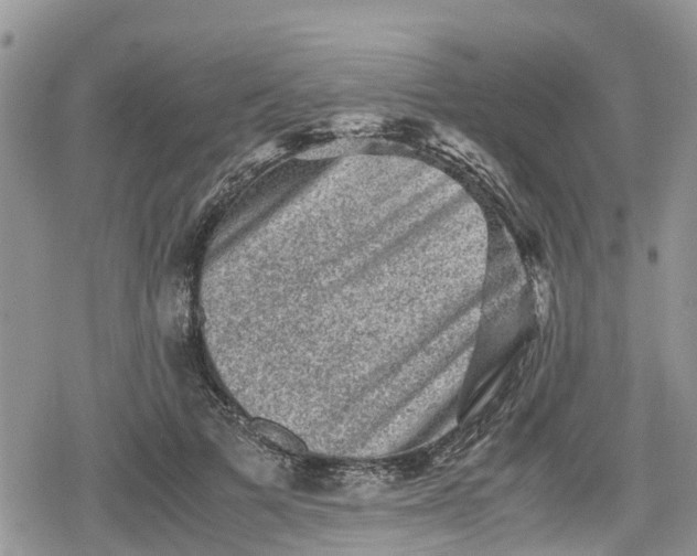 X0000078860697200611271412