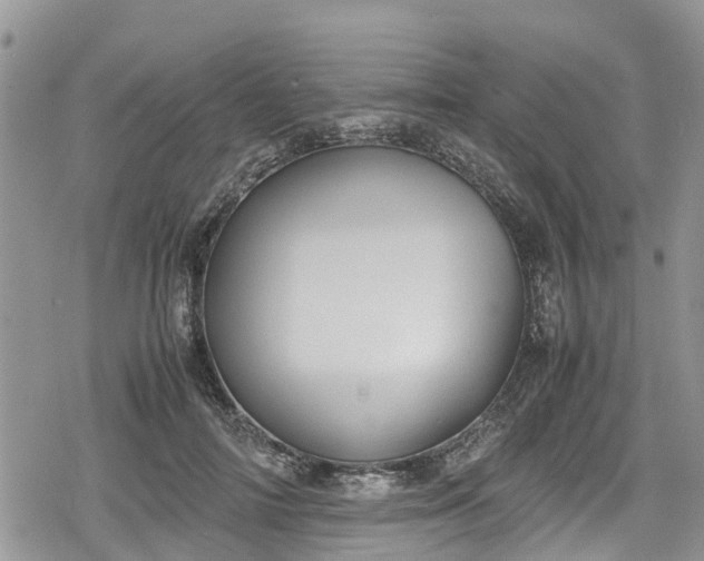 X0000078860698200611271412