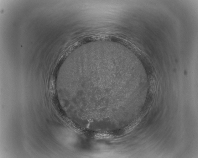 X0000078860699200611271412