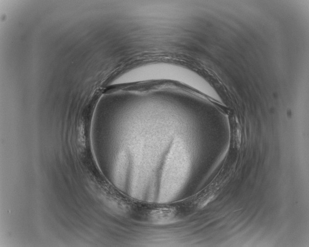 X0000078860700200611271412