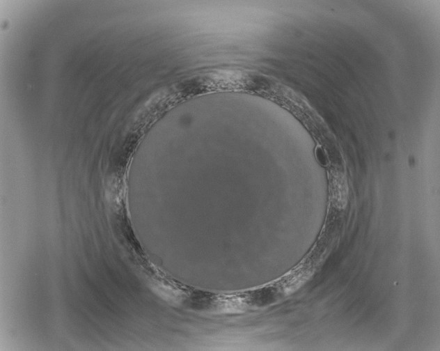 X0000078860701200611271412