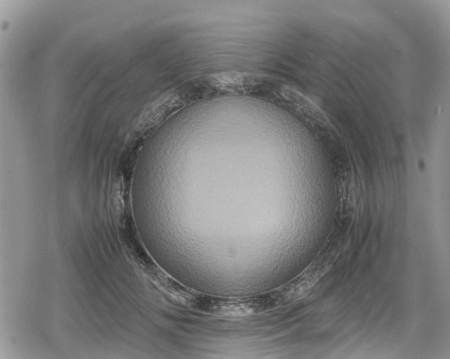 X0000078860702200611271412