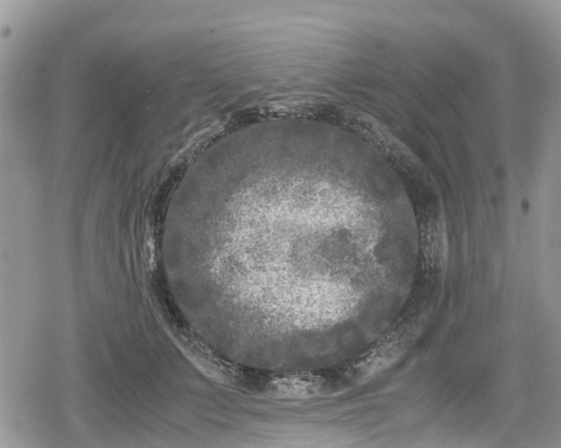 X0000078860703200611271412