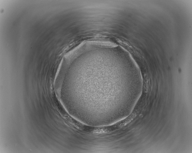 X0000078860704200611271412