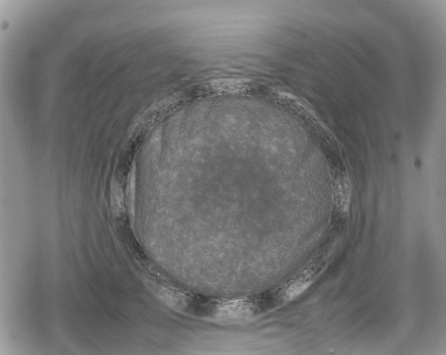 X0000078860705200611271412