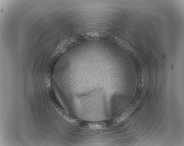 X0000078860706200611271412