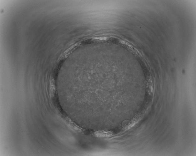 X0000078860707200611271412