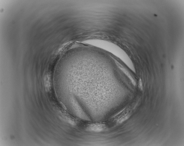 X0000078860708200611271412