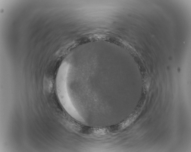 X0000078860709200611271412